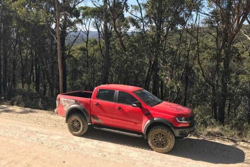 raptor